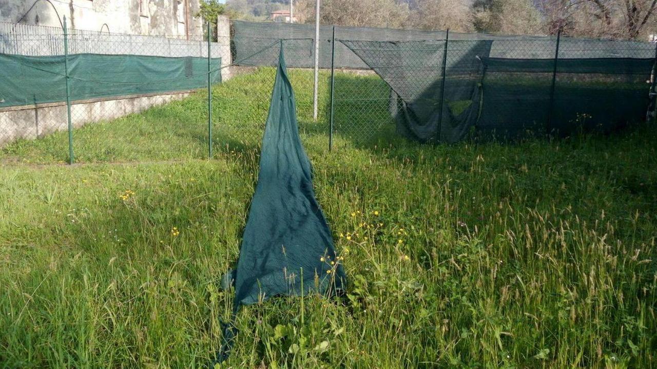 Erba alta e degrado «L’asilo Candia è abbandonato»