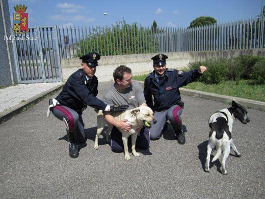 Brie e Irina, le due cagnoline salvate