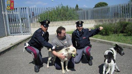 Brie e Irina, le due cagnoline salvate