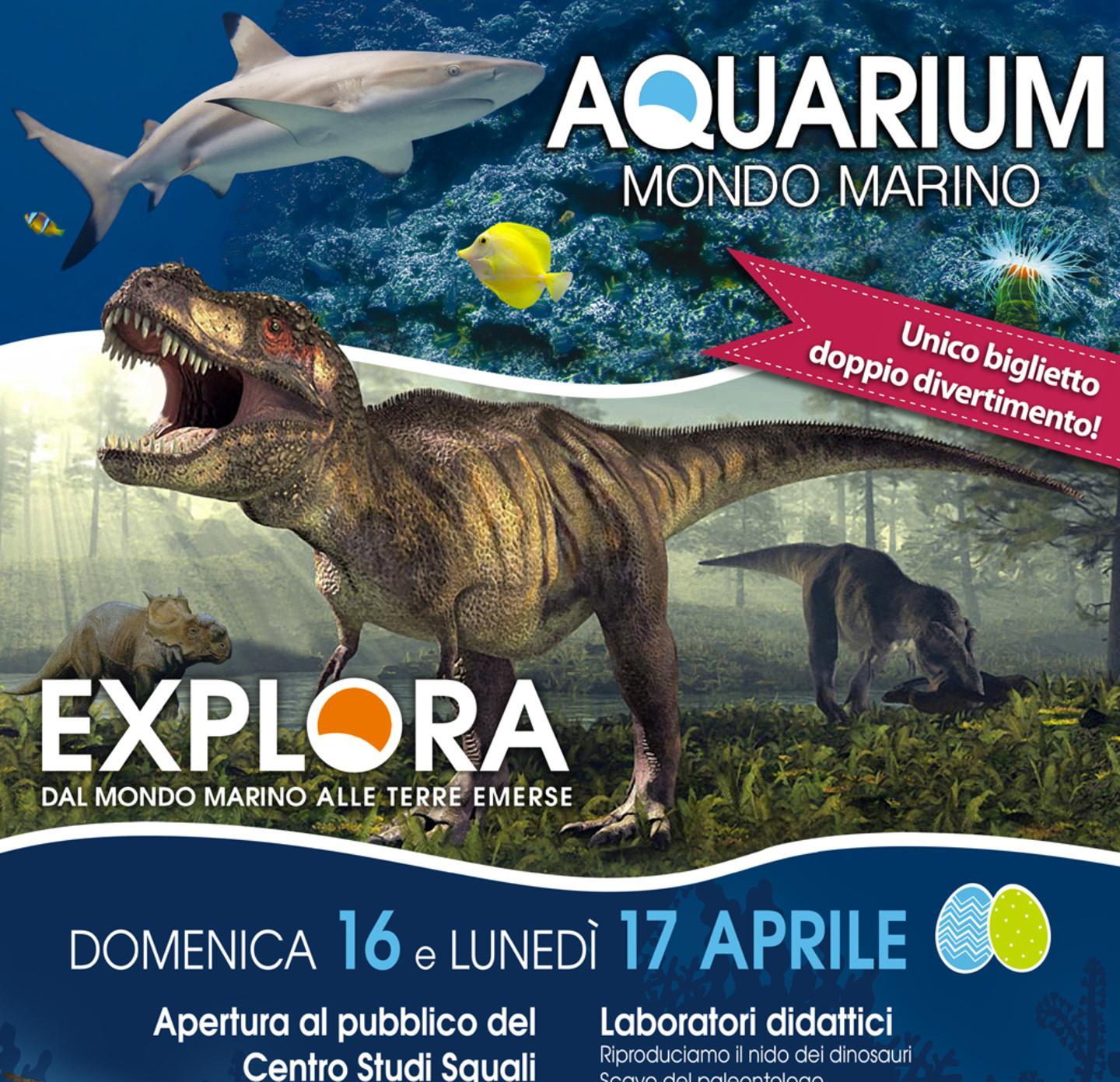 Tutti all’Aquarium Emozioni tra squali e dinosauri 