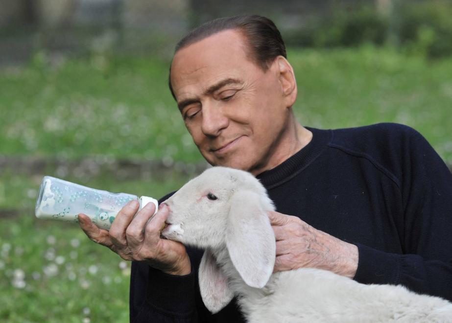 Coldiretti Sardegna contro Berlusconi: «Adotti un allevatore in crisi, non gli agnelli» 