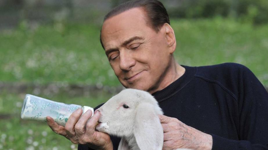 Coldiretti Sardegna contro Berlusconi: «Adotti un allevatore in crisi, non gli agnelli» 