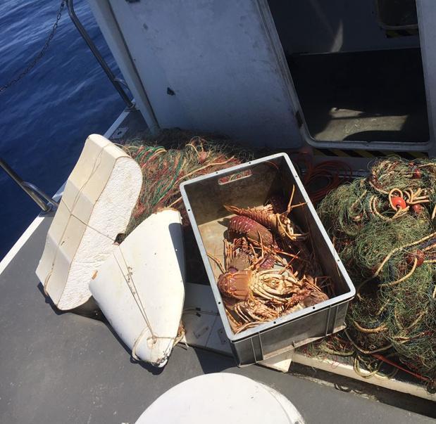 Sequestrati aragoste ed astici pescati in modo illegale