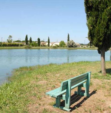“Made in Campiglia” Domani scade il bando per il concorso  
