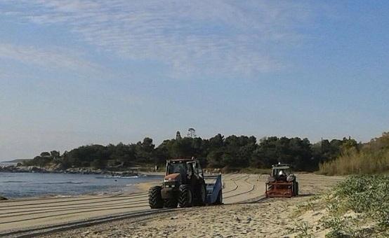 Grandi lavori di pulizia nelle spiagge del litorale 