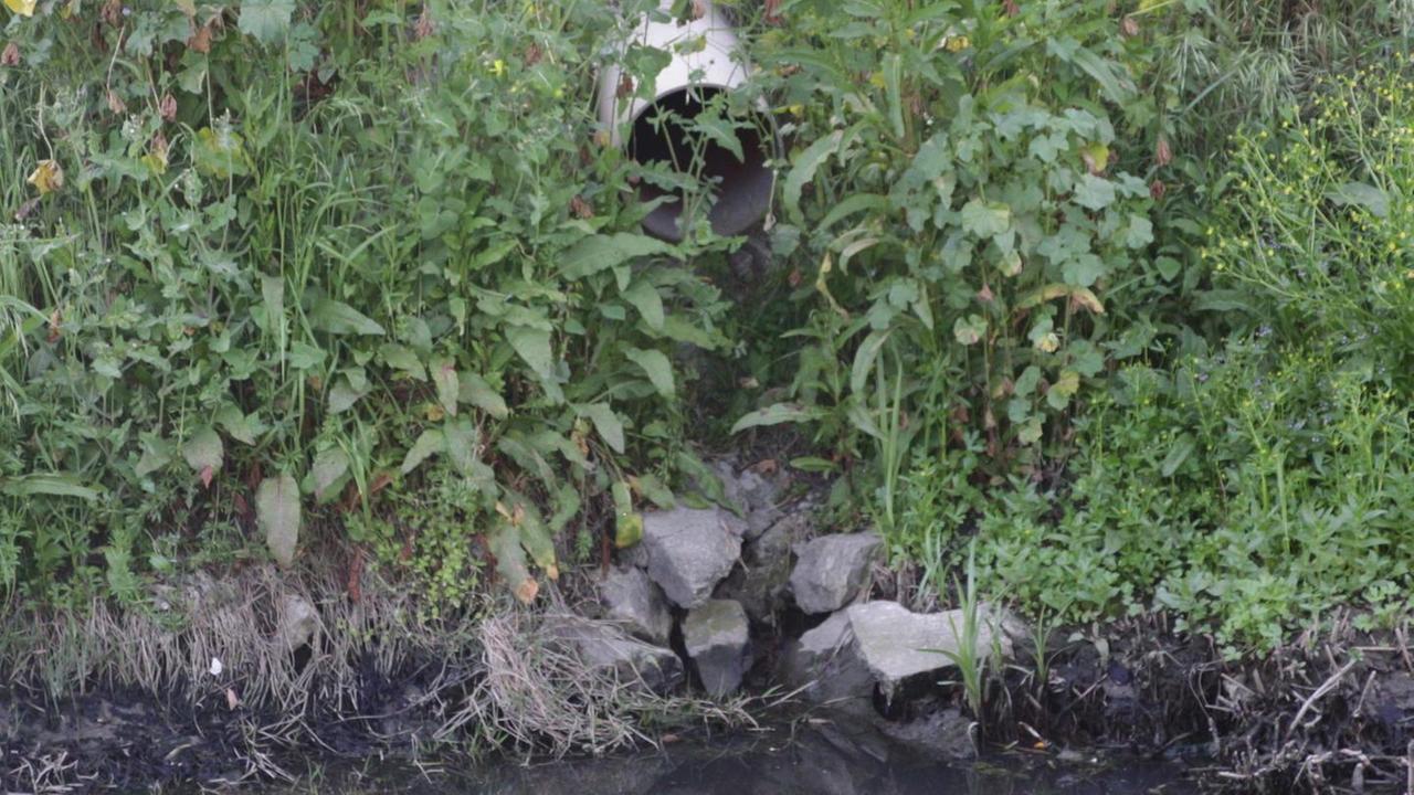 Cittadini preoccupati: «Siamo immersi in un odore tremendo»