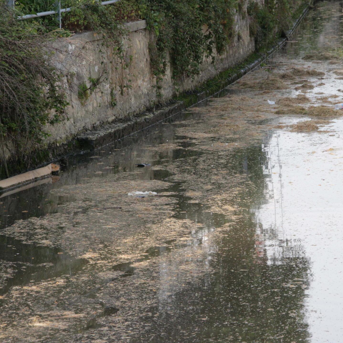 Liquami non depurati dritti in mare 