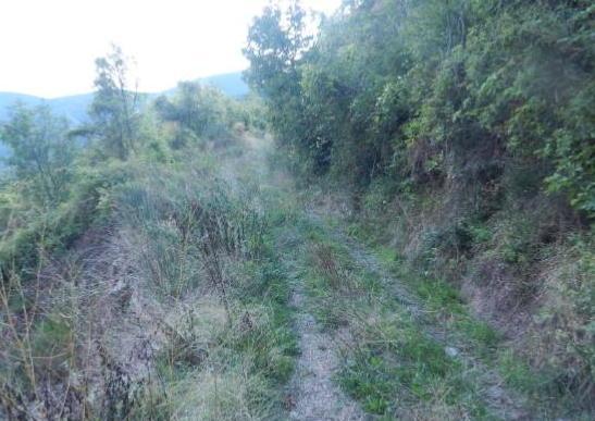 Un milione e 200mila euro per rigenerare la viabilità