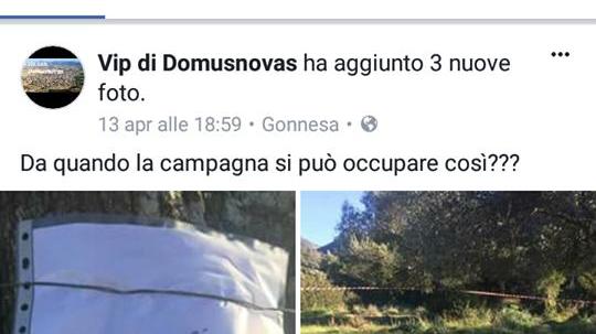 Domusnovas, il picnic pasquale prenotato sull'albero diventa virale