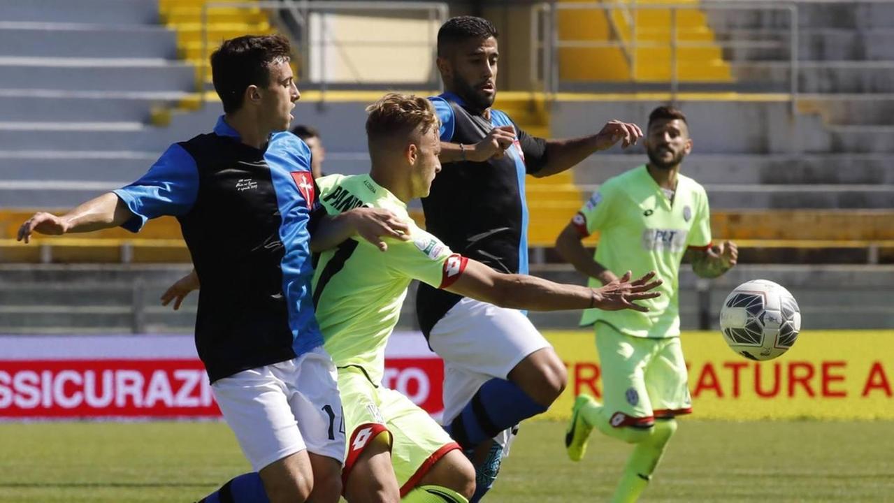 Pisa, il pieno di grinta Golubovic è pronto!