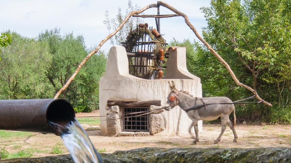 Ecco Noria, la macchina per estrarre l’acqua