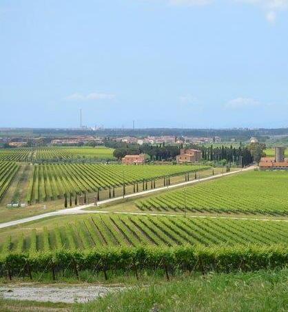 Scarlino rifiorisce grazie ai veneti 