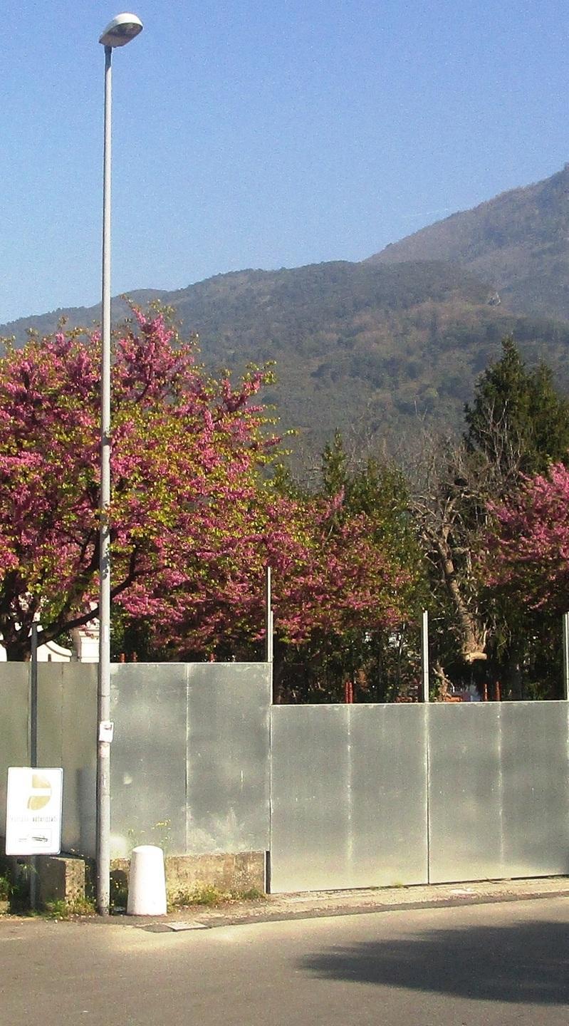 «Liberate piazza Pascoli da quella  recinzione»