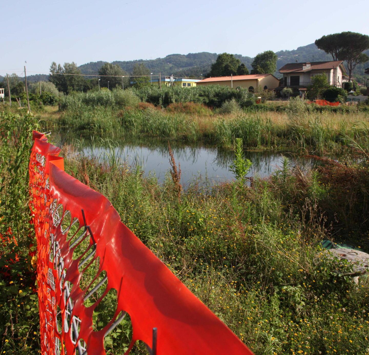 Coop a Camaiore L’azienda è ancora interessata all’affare 