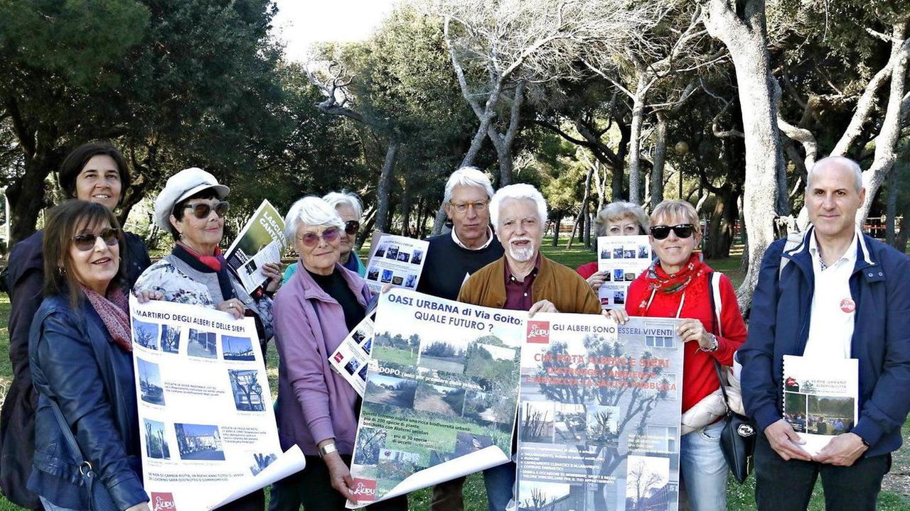 «Salvare il verde da tagli e potature tutela l’ambiente»