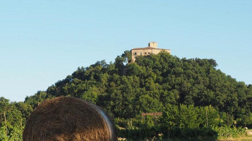 Quattro Castella, un week end al Bianello tra natura e Medioevo