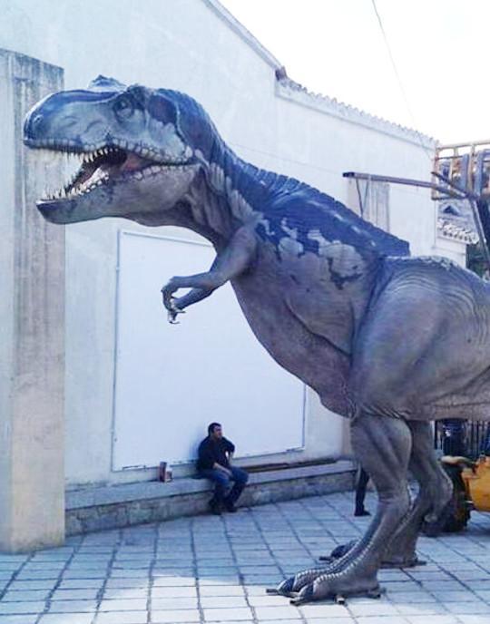 Il T-Rex esposto a Bitti