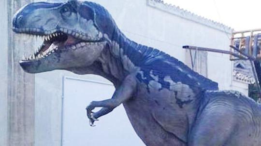 Il T-Rex esposto a Bitti