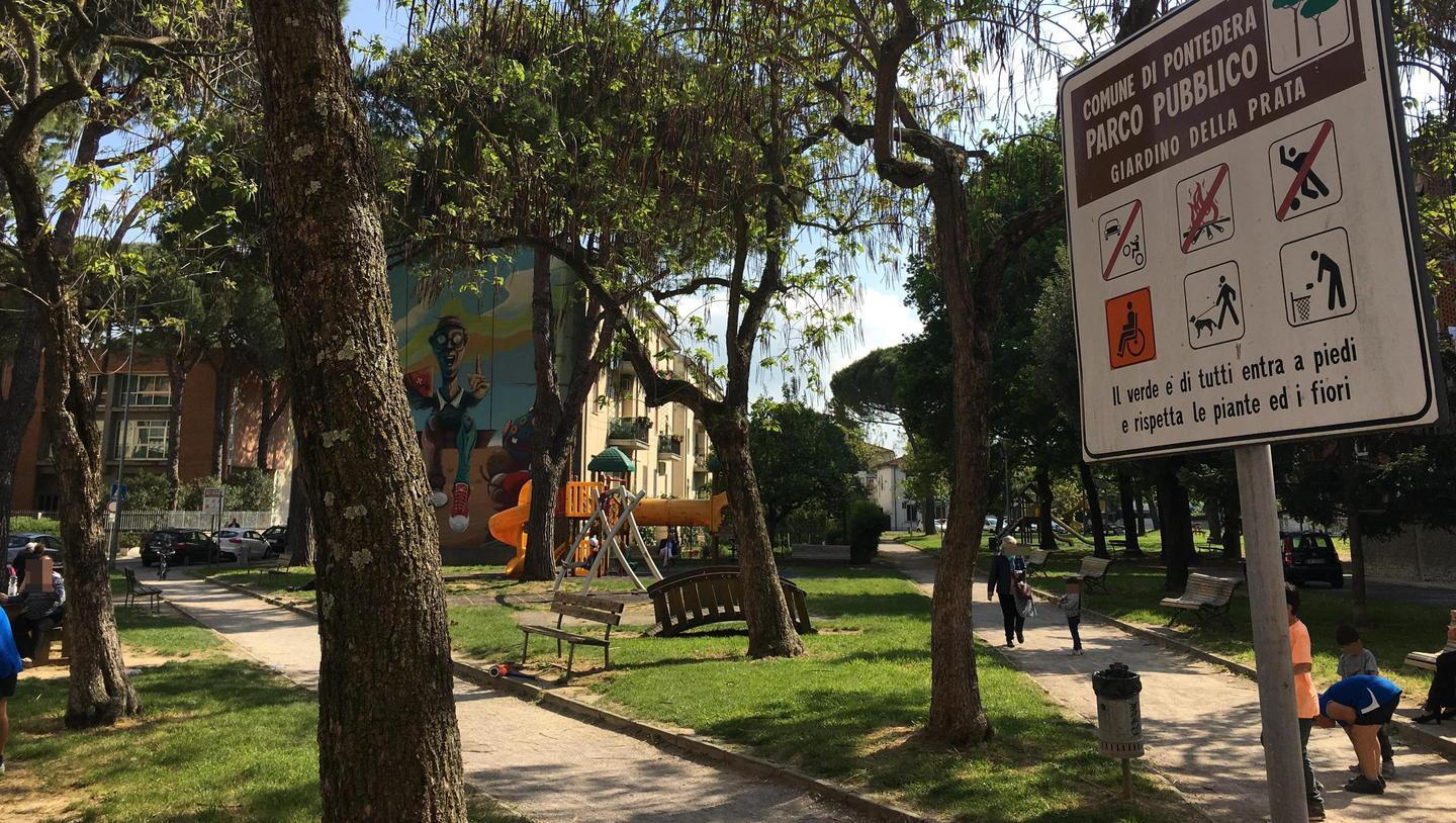 Aggredito in strada da un pitbull  che gli stacca una falange 