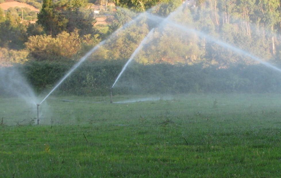 Cartelle irrigue prescritte, lo dice il garante 