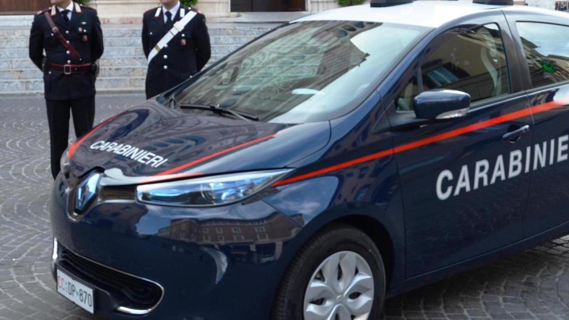 I carabinieri viaggiano con Zoe