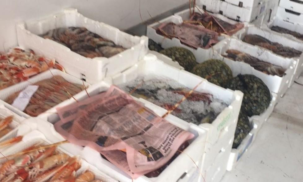 Legalità in mare, Guardia costiera in trincea 