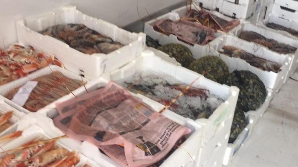 Legalità in mare, Guardia costiera in trincea