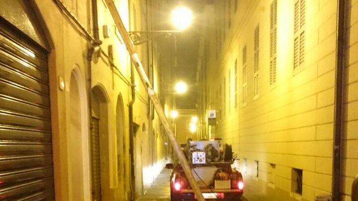 Modena, fiamme in un appartamento in centro: morti tre gatti