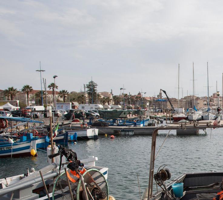 Futura gestione del porto Marinedì pronta a ritirarsi 