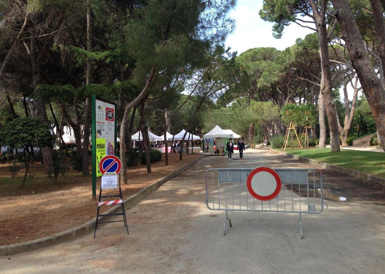 Caos parcheggi e la pineta diventa una rotatoria 