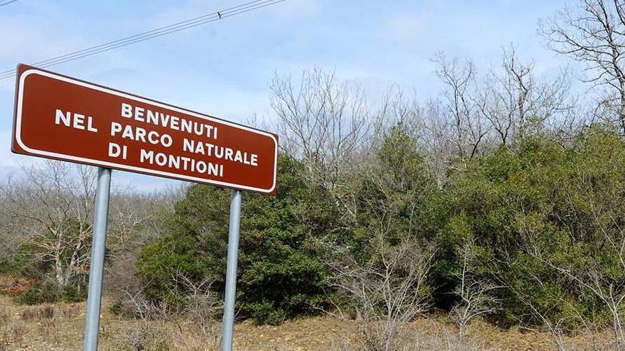 Gli ambientalisti soddisfatti con riserva «Ci sono ancora spazi per cani e rifiuti»