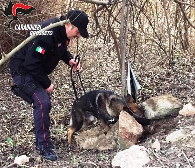 Vendevano coca e hashish sull’argine dell’Ombrone 