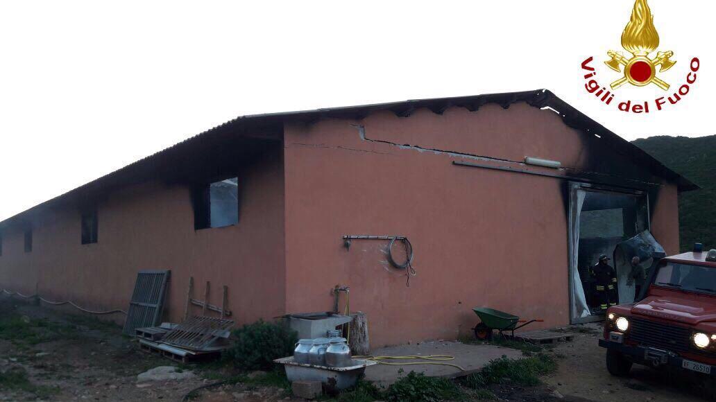 Attentato incendiario in un'azienda agricola di Siniscola