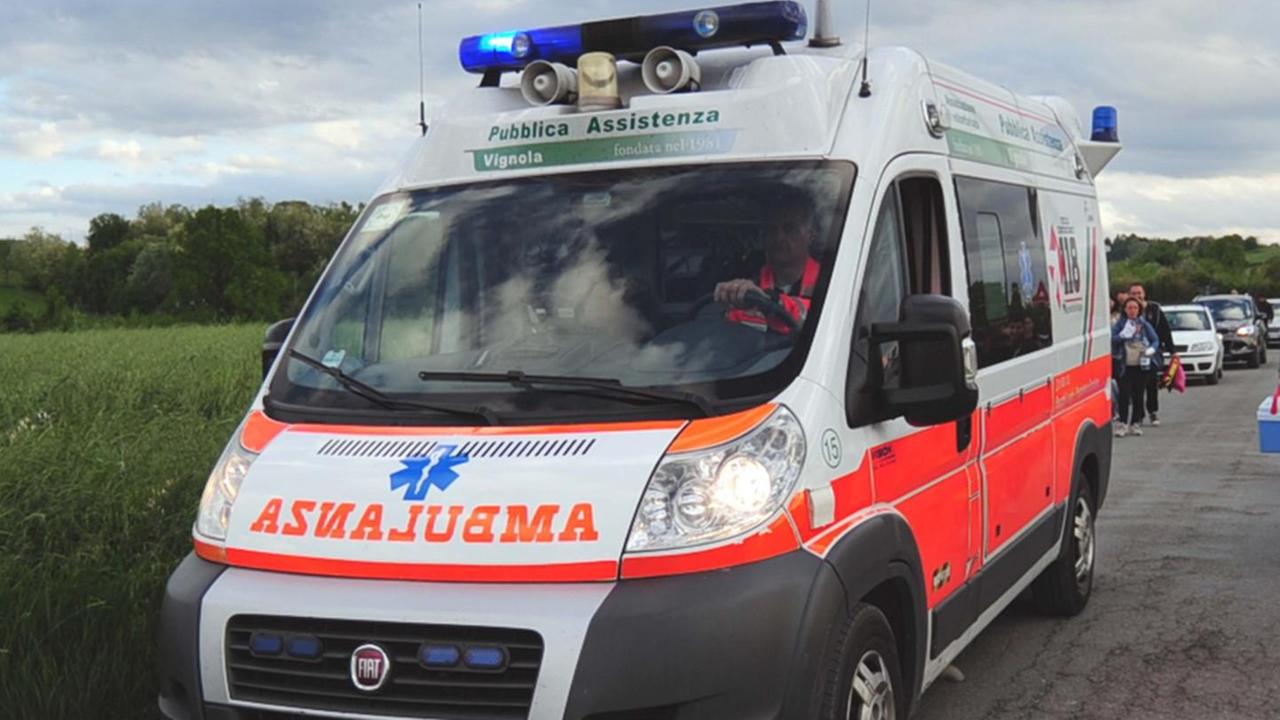 Castelvetro. Botte e feriti al Parco Zoo per colpa di un pesce