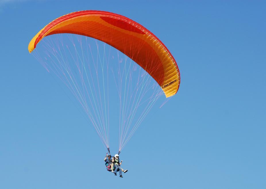 Vento scaraventa su un albero pilota di parapendio