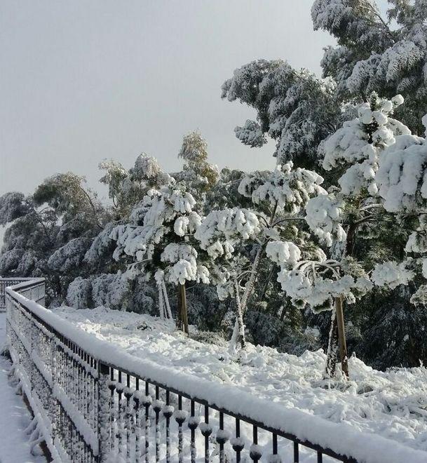 Vallascas (5 stelle) «Dopo la nevicata, strade intransitabili» 