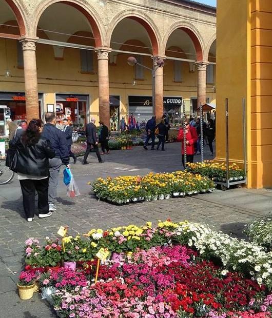 Un tappeto colorato di profumi e piante per 20mila persone 