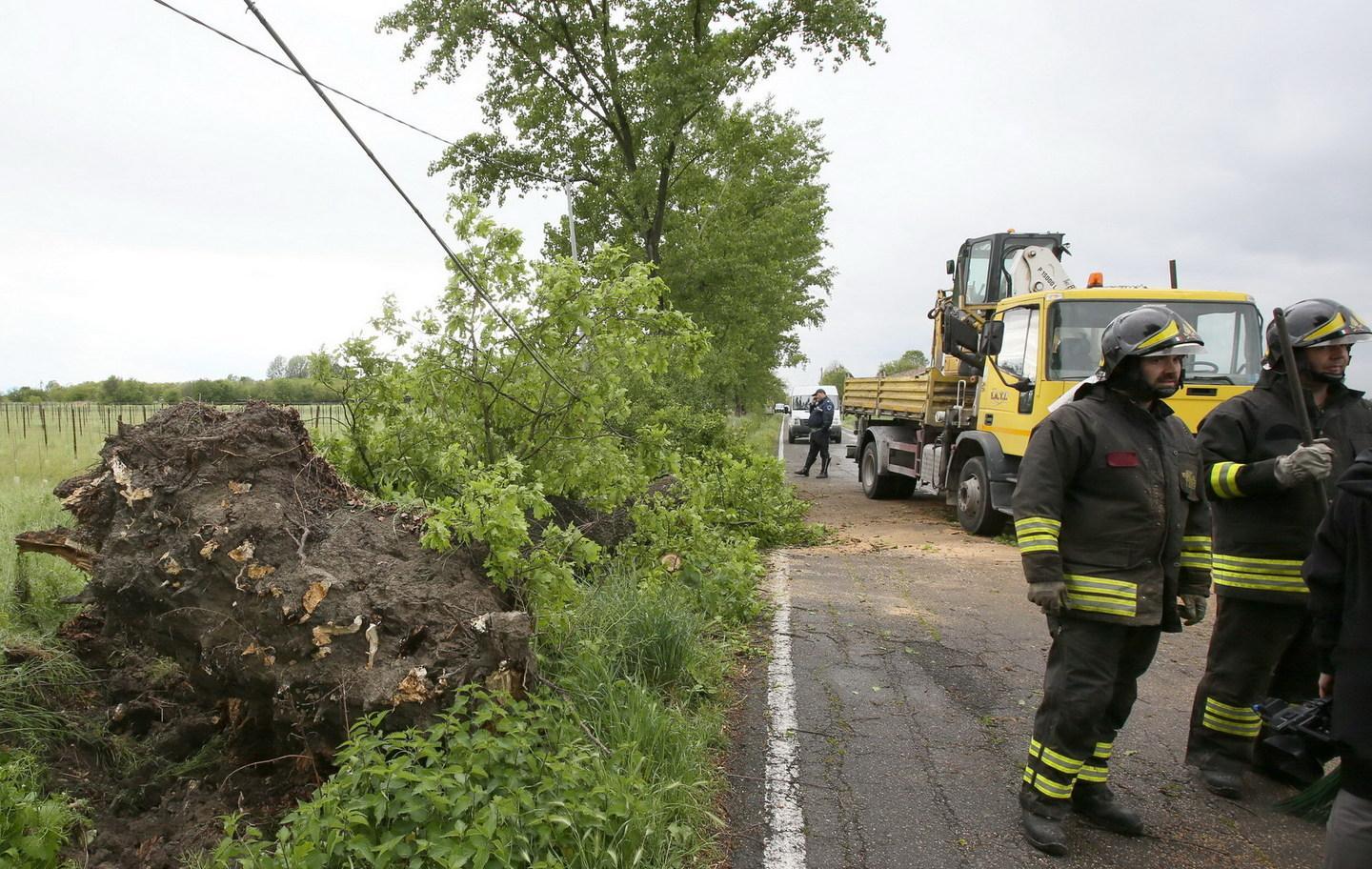 Nonantola, quercia abbatte i pali del telefono  