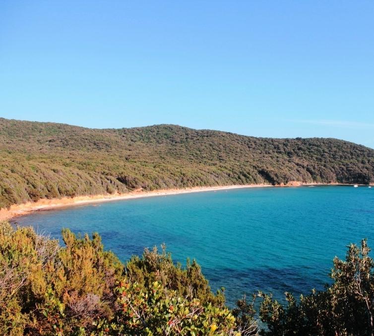 Cala Violina