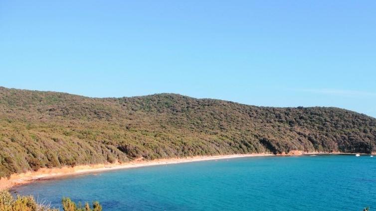 Cala Violina