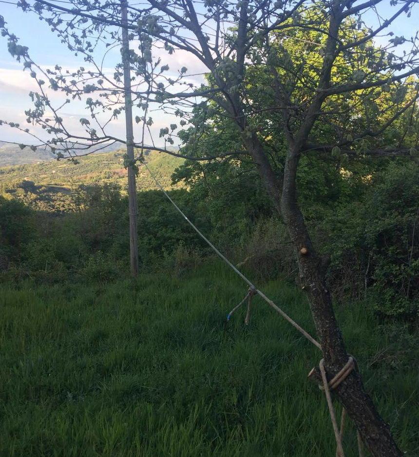 Palo di Tim pericolante L’appello dei residenti 
