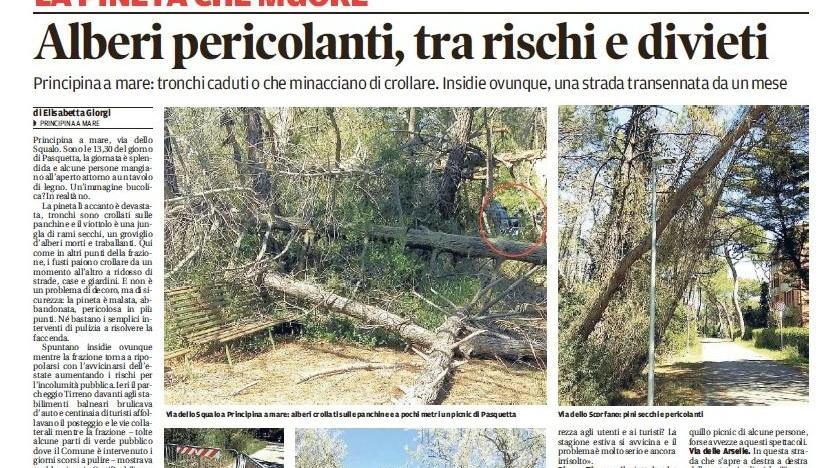 Un pericolo segnalato dal Tirreno