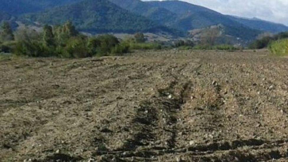 Aziende agricole in ginocchio dopo lunghi mesi di siccità 