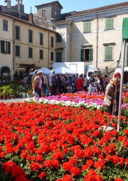 Tornano i colori e i profumi di Bancarel’fiore a Pontremoli