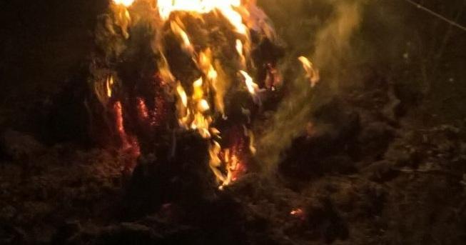 Bruciano presse di paglia in un vigneto