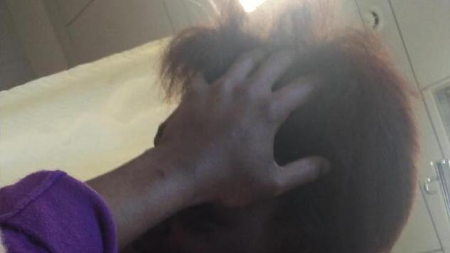 A giudizio la mamma a un anno esatto dalla tragedia
