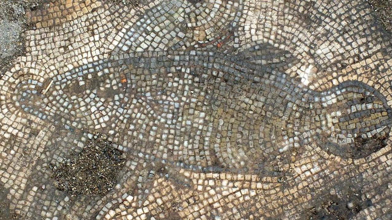 Nuovi archeologi per villa e mosaico
