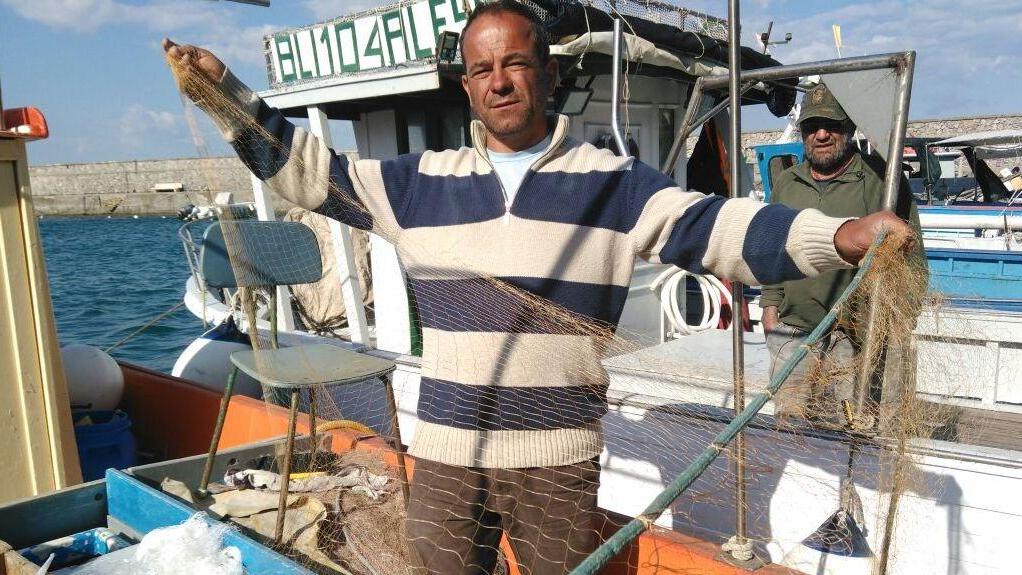 Delfini “spaccareti” «Danni enormi»