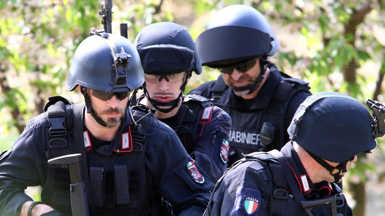 Quattro segnalazioni dai dintorni di Portogruaro