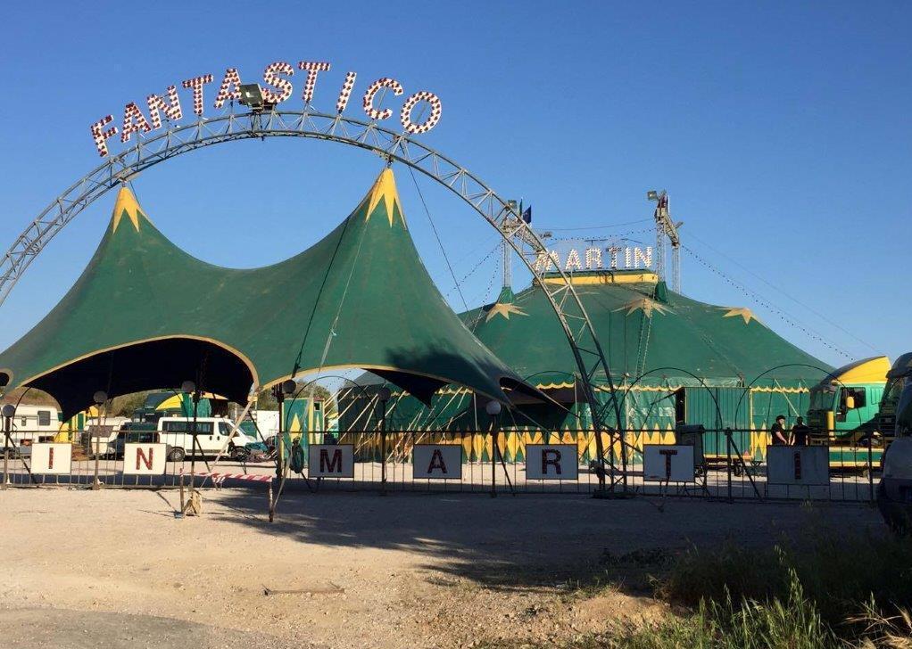 Biagini: «Circo Martin, faremo un esposto in Procura»